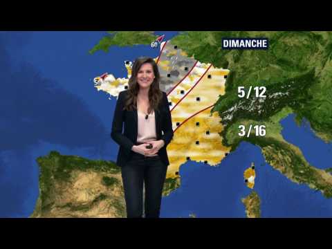 LA METEO de DANIELA PREPELIUC le 2017 01 24 sur BFM TV