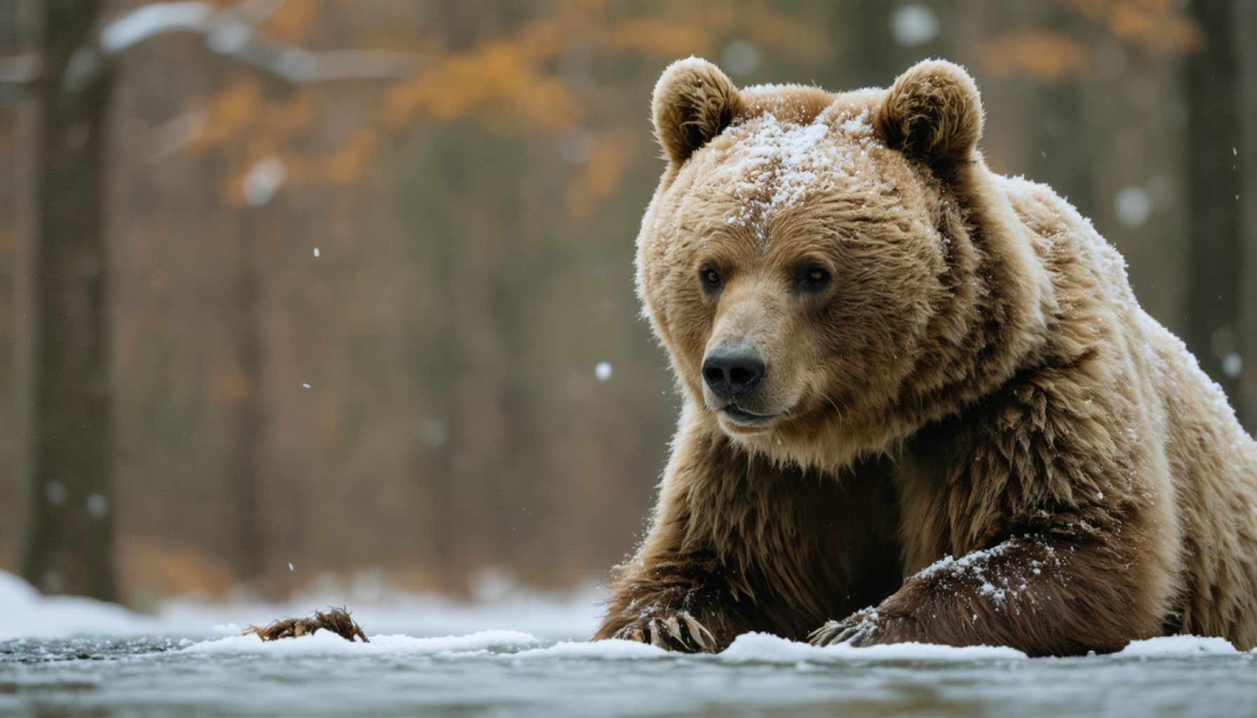 BigBear.ai’s $200 Million Misstep: How Accounting Errors Led to Investor Unrest